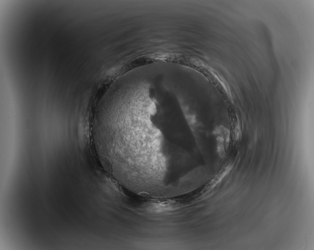 X0000087710569200705111423