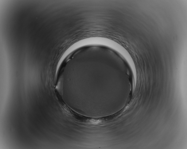 X0000087710570200705111423