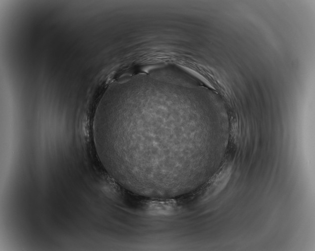 X0000087710571200705111423