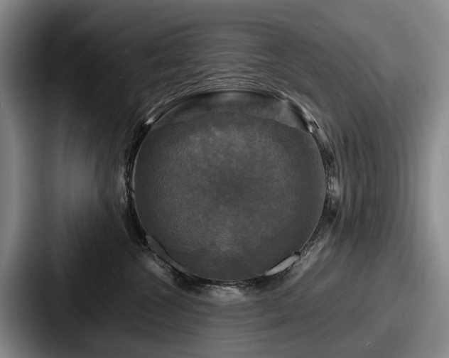 X0000087710572200705111423