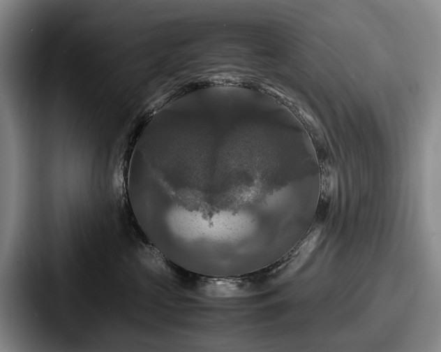 X0000087710573200705111423