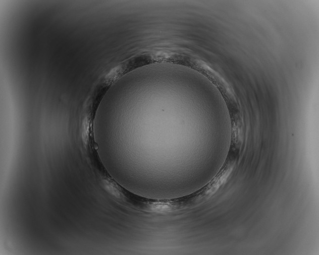 X0000087710574200705111423