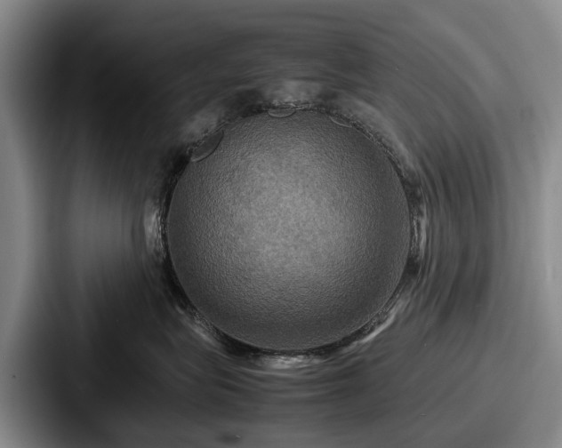 X0000087710575200705111423