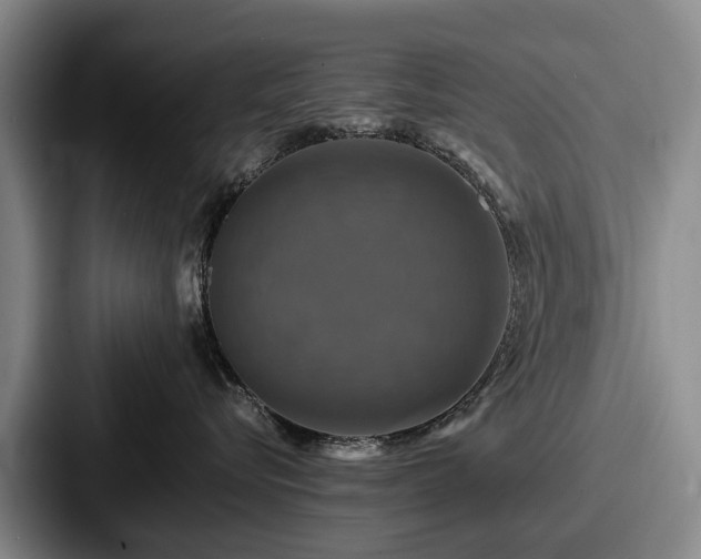 X0000087710576200705111423