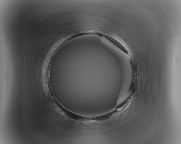X0000087710577200705111423