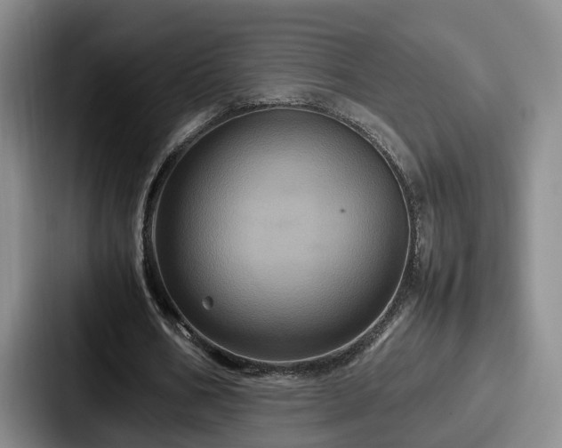X0000087710578200705111423