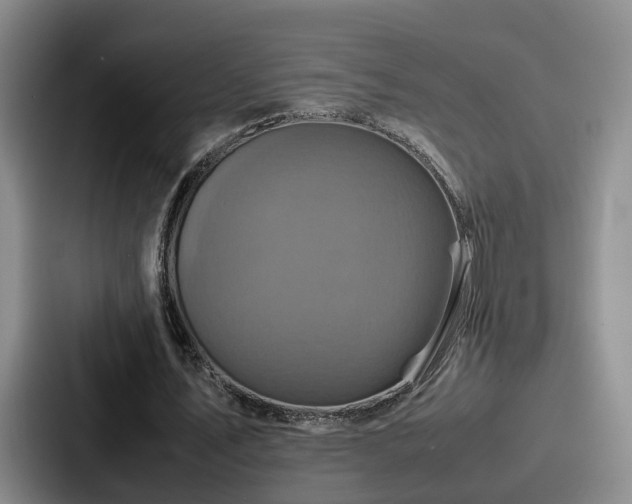 X0000087710579200705111423