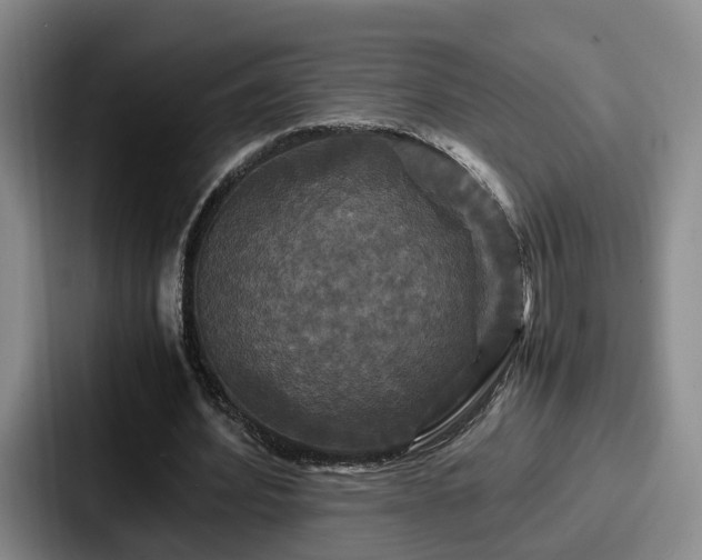 X0000087710580200705111423