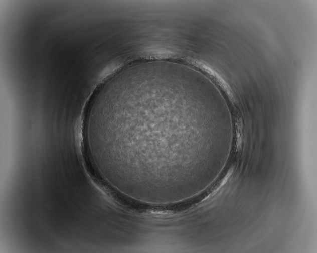 X0000087710582200705111423