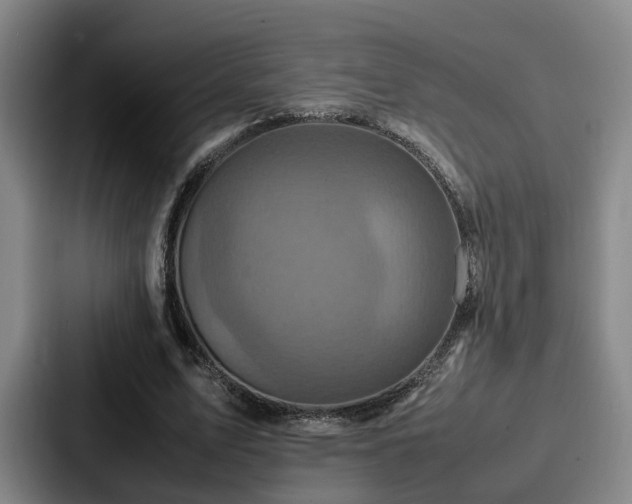 X0000087710583200705111422