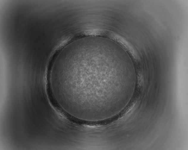 X0000087710586200705111422