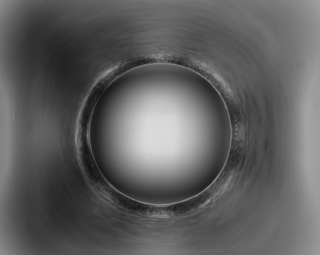X0000087710587200705111422