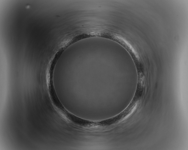 X0000087710589200705111422