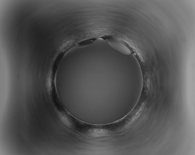X0000087710590200705111422