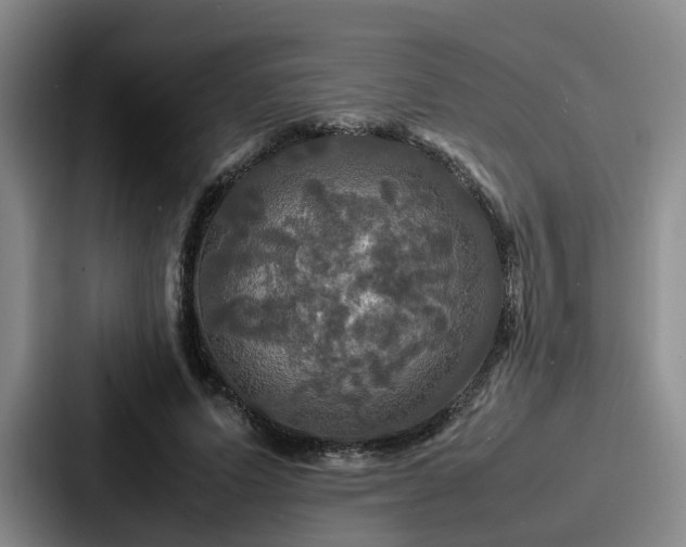 X0000087710591200705111422