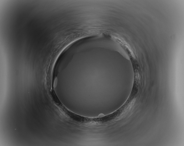X0000087710593200705111422