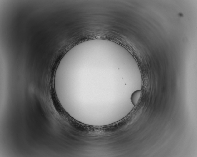 X0000087710594200705111422