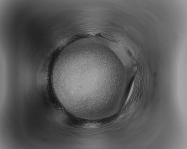 X0000087710595200705111422