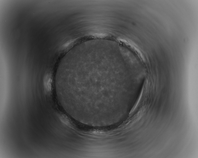 X0000087710596200705111422