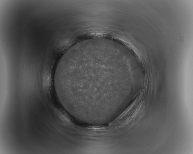 X0000087710597200705111422