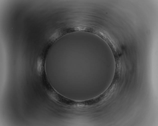 X0000087710598200705111422