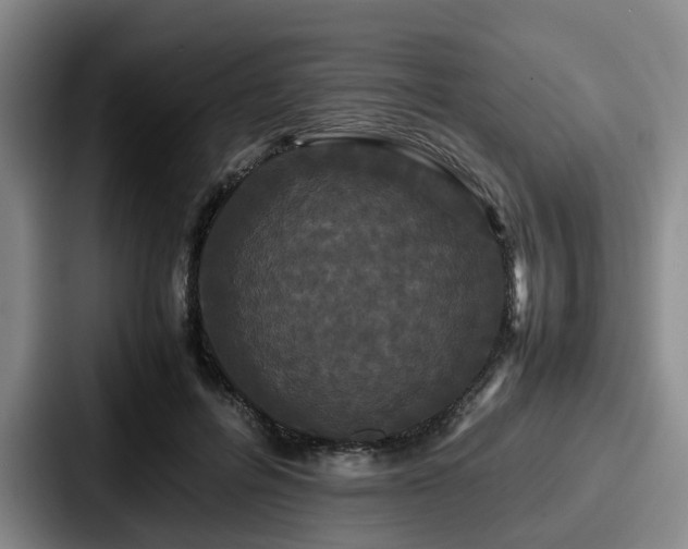 X0000087710600200705111422