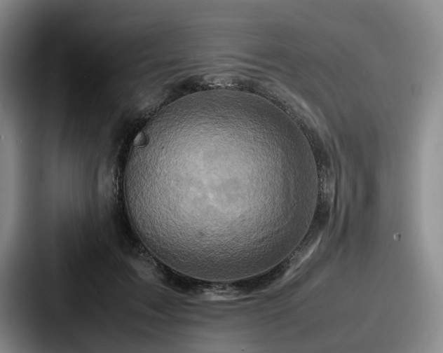X0000087710603200705111422