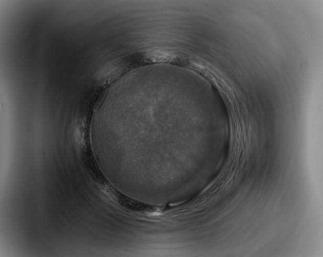 X0000087710604200705111422