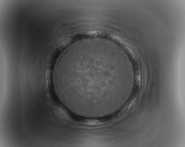X0000087710605200705111422