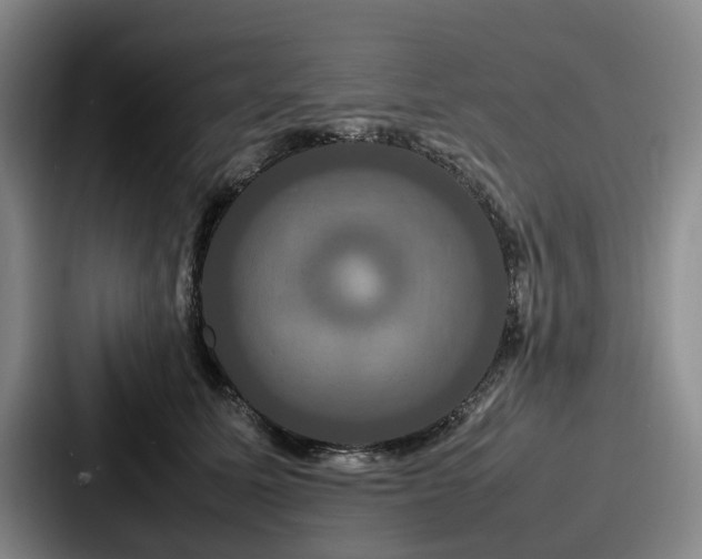 X0000087710611200705111422
