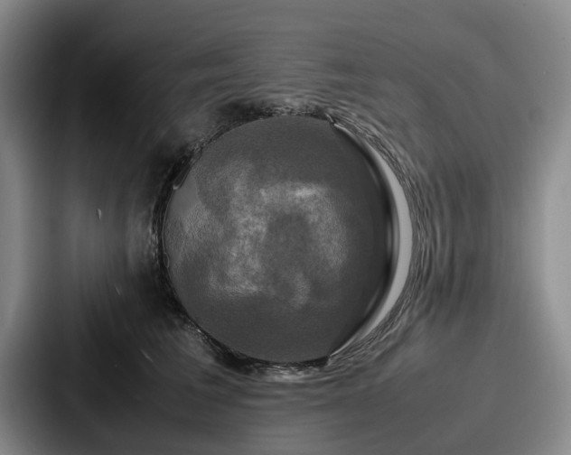X0000087710613200705111422