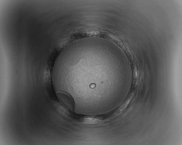 X0000087710614200705111422