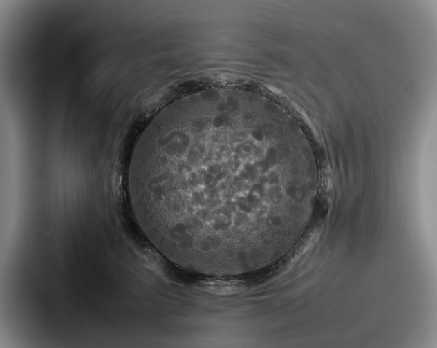X0000087710615200705111422