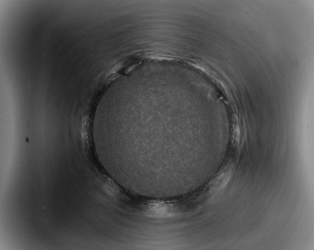 X0000087710616200705111422