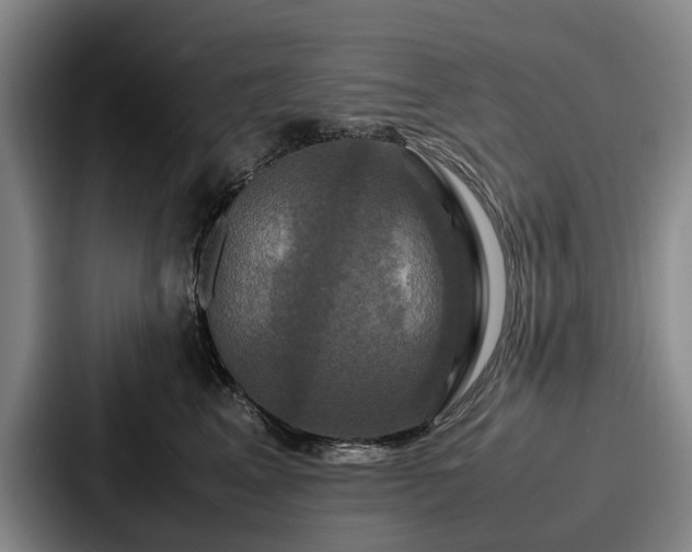X0000087710617200705111422