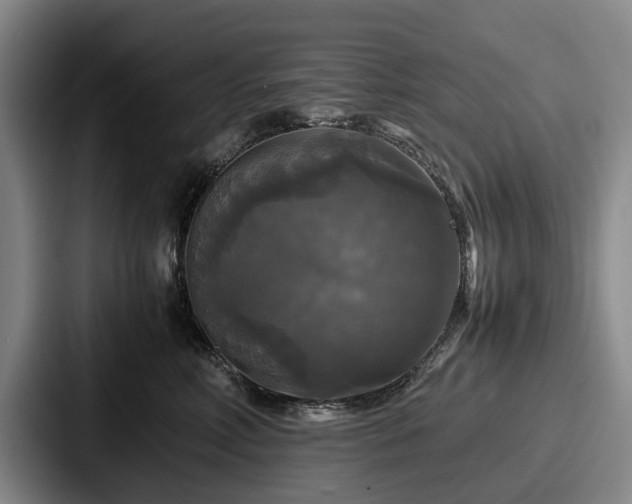 X0000087710618200705111422