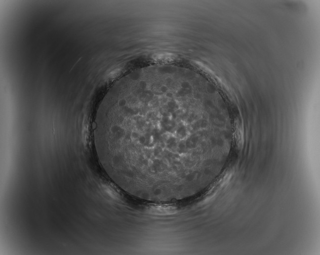 X0000087710619200705111422