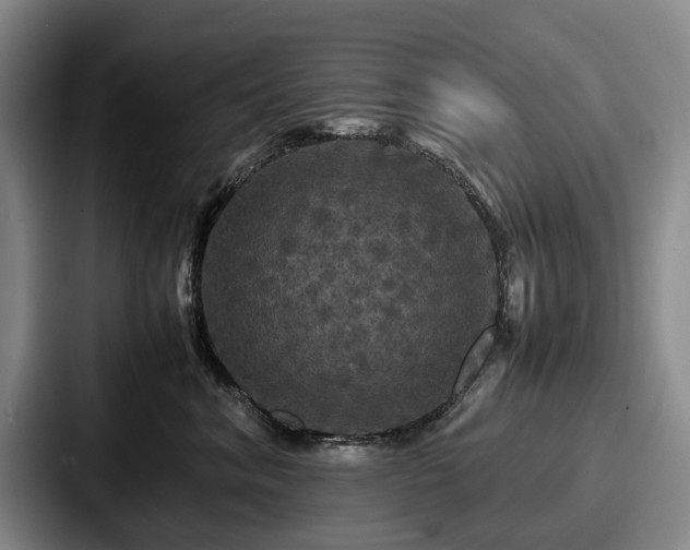 X0000087710620200705111422