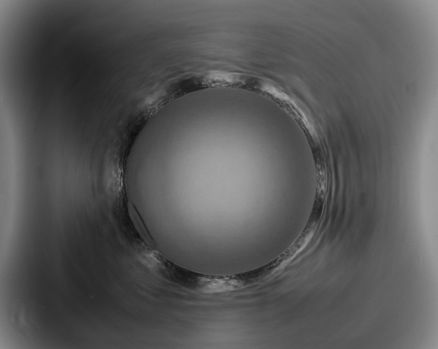 X0000087710621200705111422