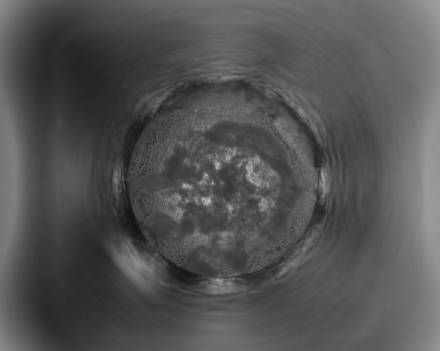 X0000087710623200705111422