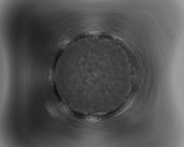 X0000087710624200705111422