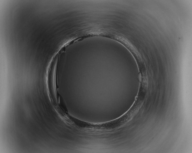 X0000087710626200705111421