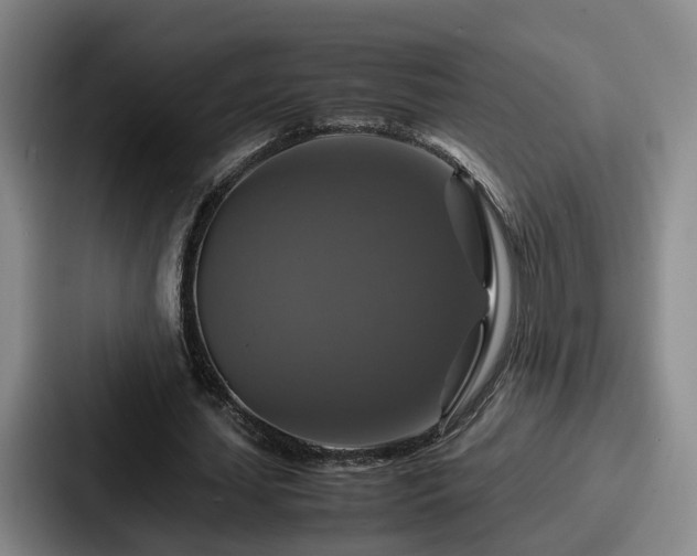 X0000087710627200705111421