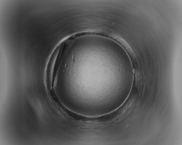 X0000087710628200705111422