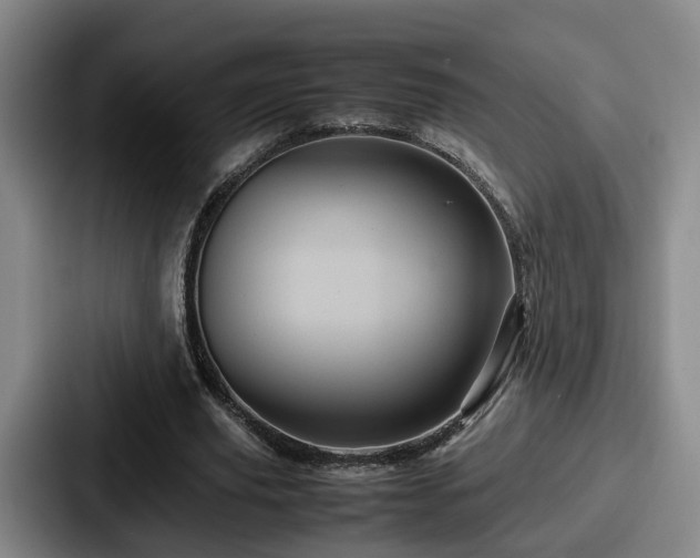 X0000087710629200705111422