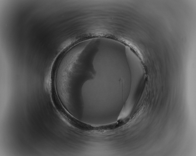 X0000087710630200705111422
