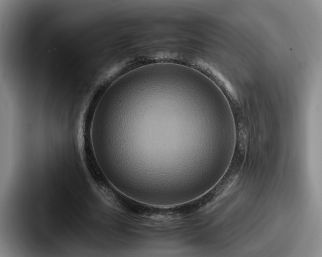 X0000087710631200705111422