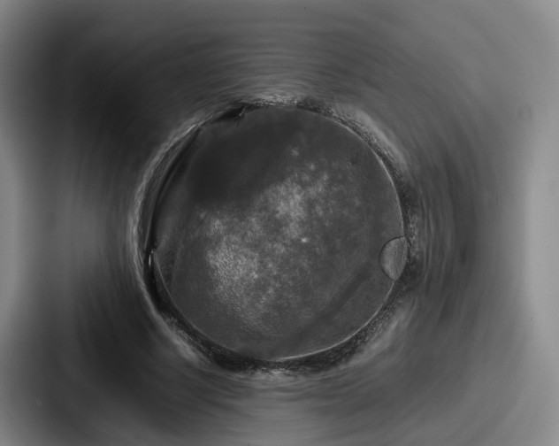 X0000087710634200705111422