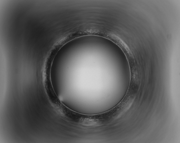 X0000087710635200705111422