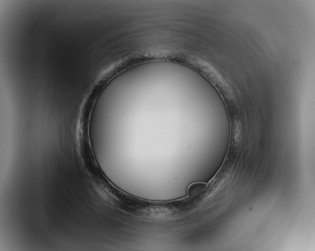 X0000087710636200705111422